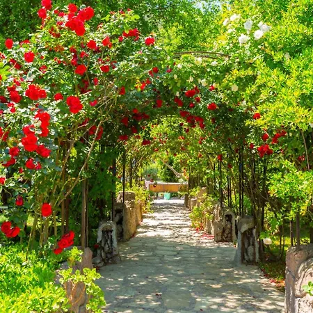 Deniz Paradise Villa *